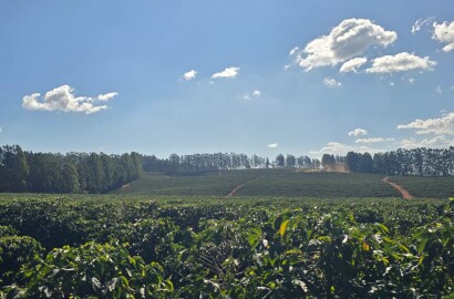 Fazenda para venda na região de Capelinha MG