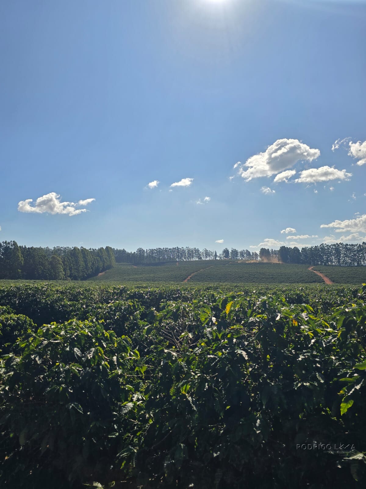 Fazenda para venda na região de Capelinha MG