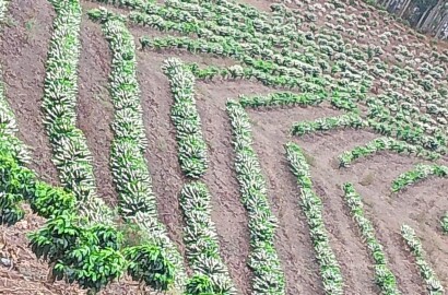 Fazenda para venda na região de Capelinha MG