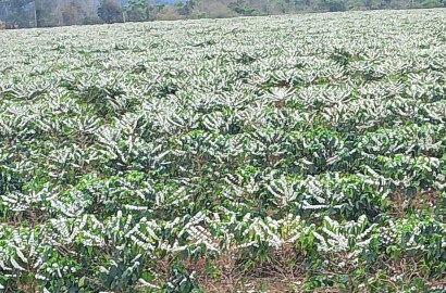 Fazenda para venda na região de Capelinha MG