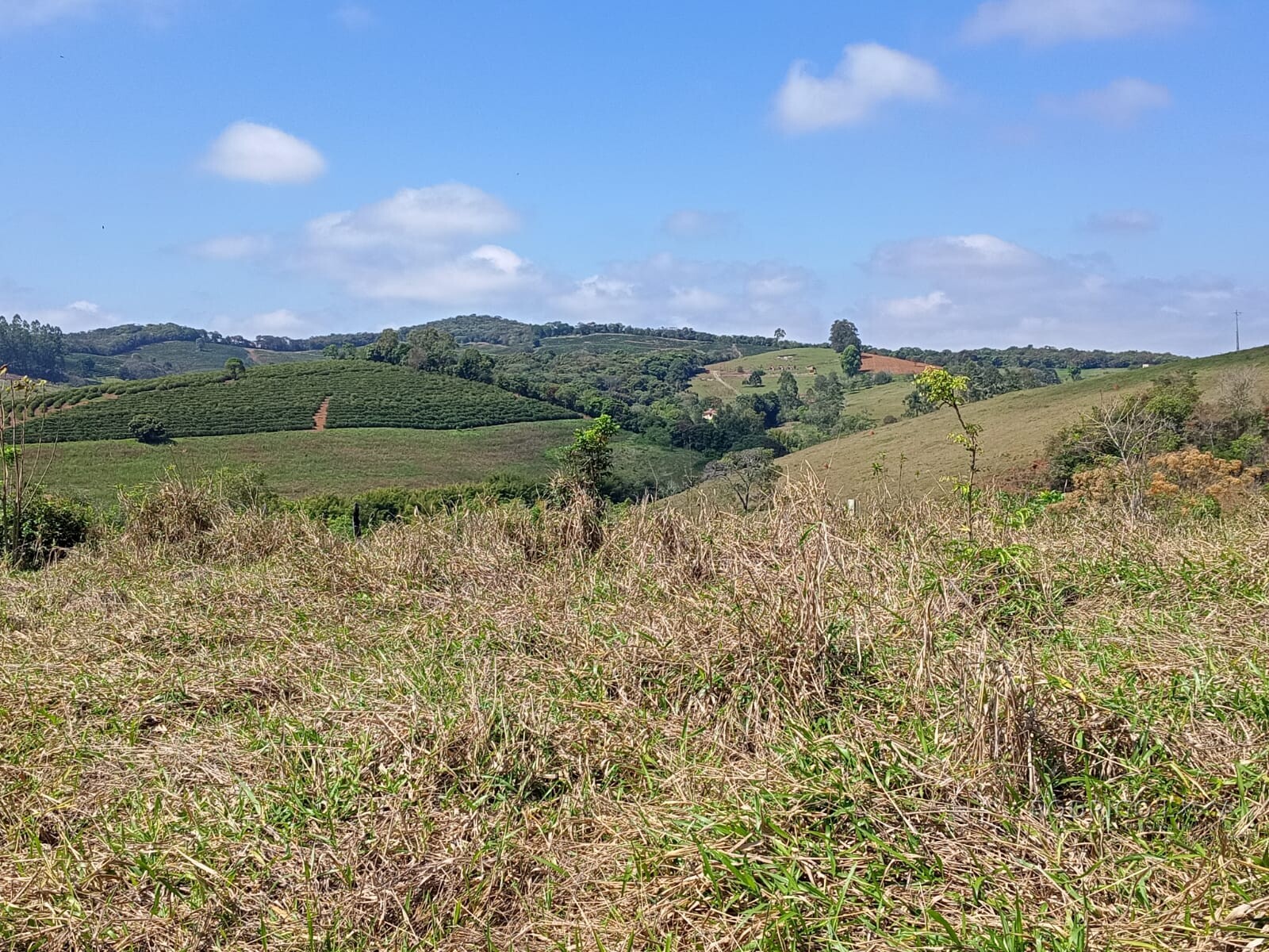 Área rural para venda próximo a São Lourenço MG