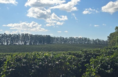 Fazenda para venda na região de Capelinha MG