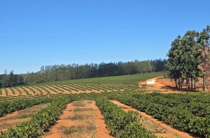 Fazenda para venda na região de Capelinha MG