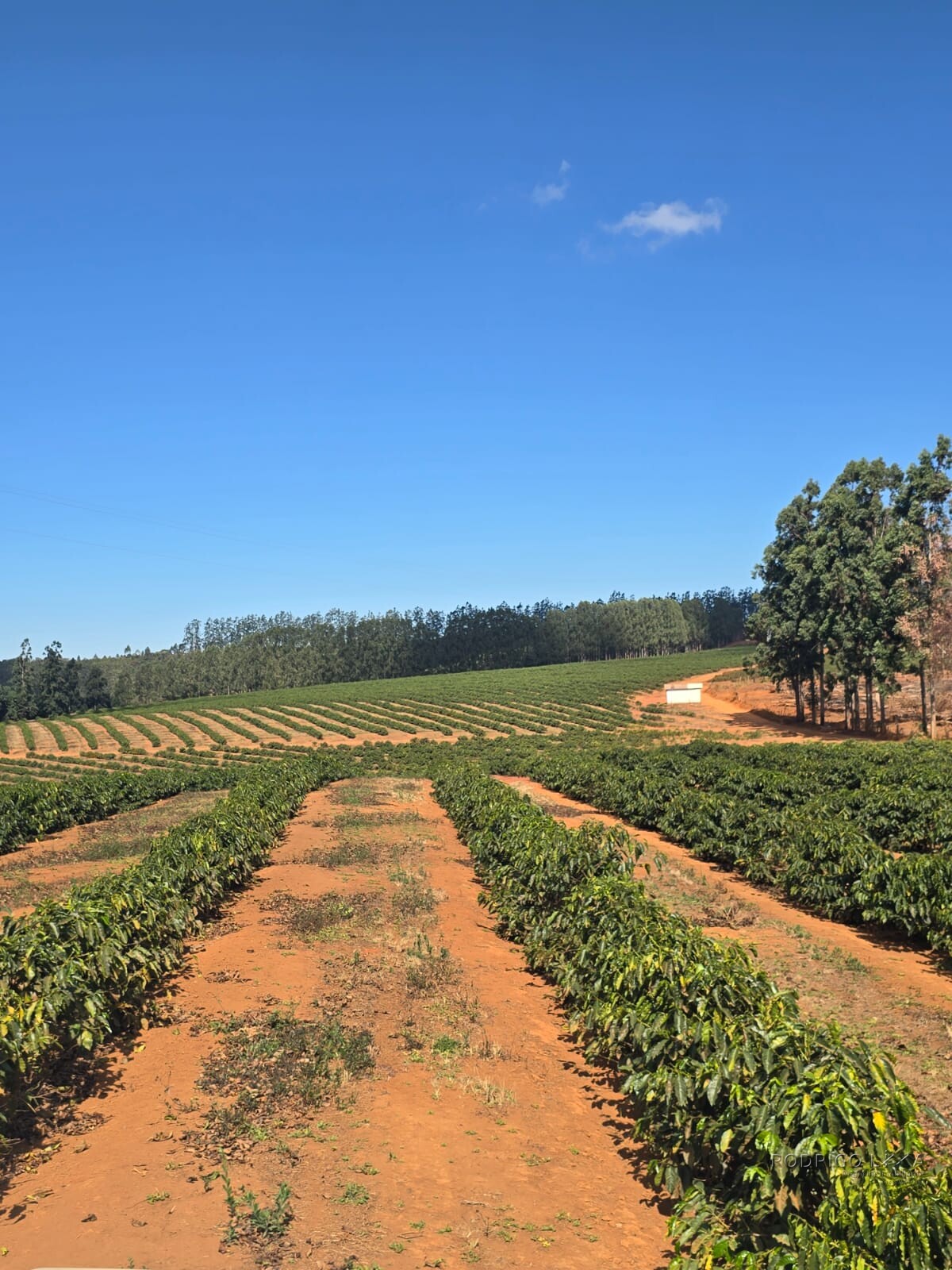 Fazenda para venda na região de Capelinha MG