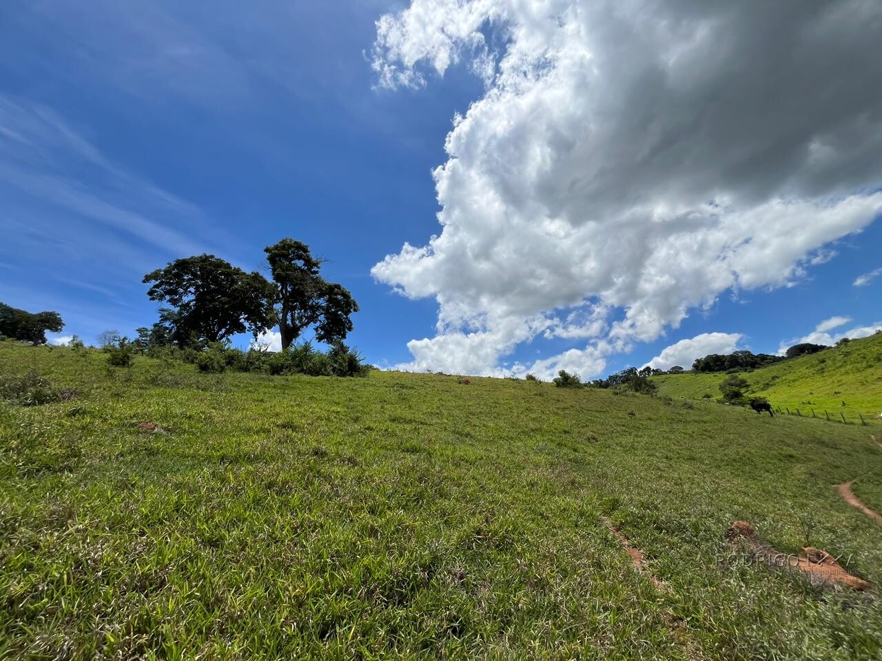 Sitio para venda em Carmo de Minas Mg