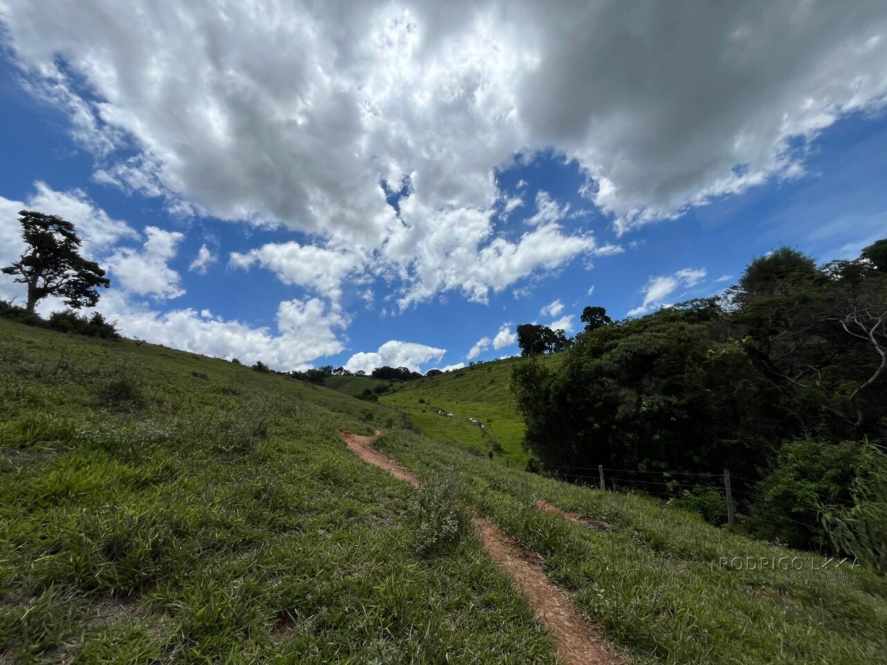 Sitio para venda em Carmo de Minas Mg