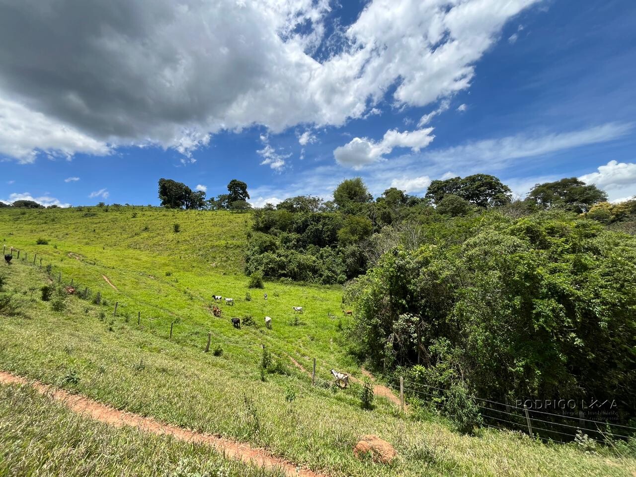 Sitio para venda em Carmo de Minas Mg