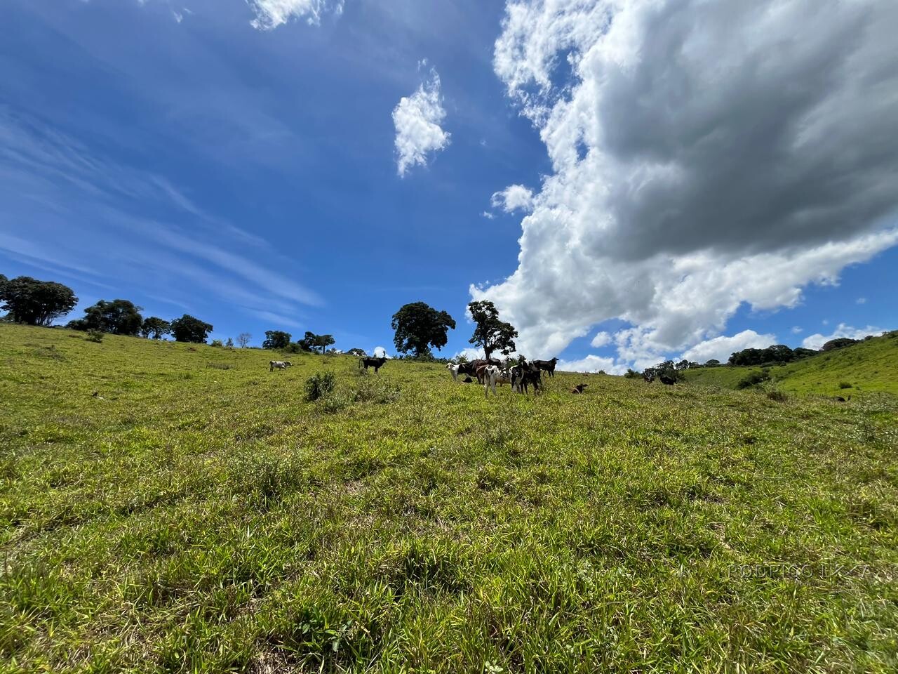 Sitio para venda em Carmo de Minas Mg