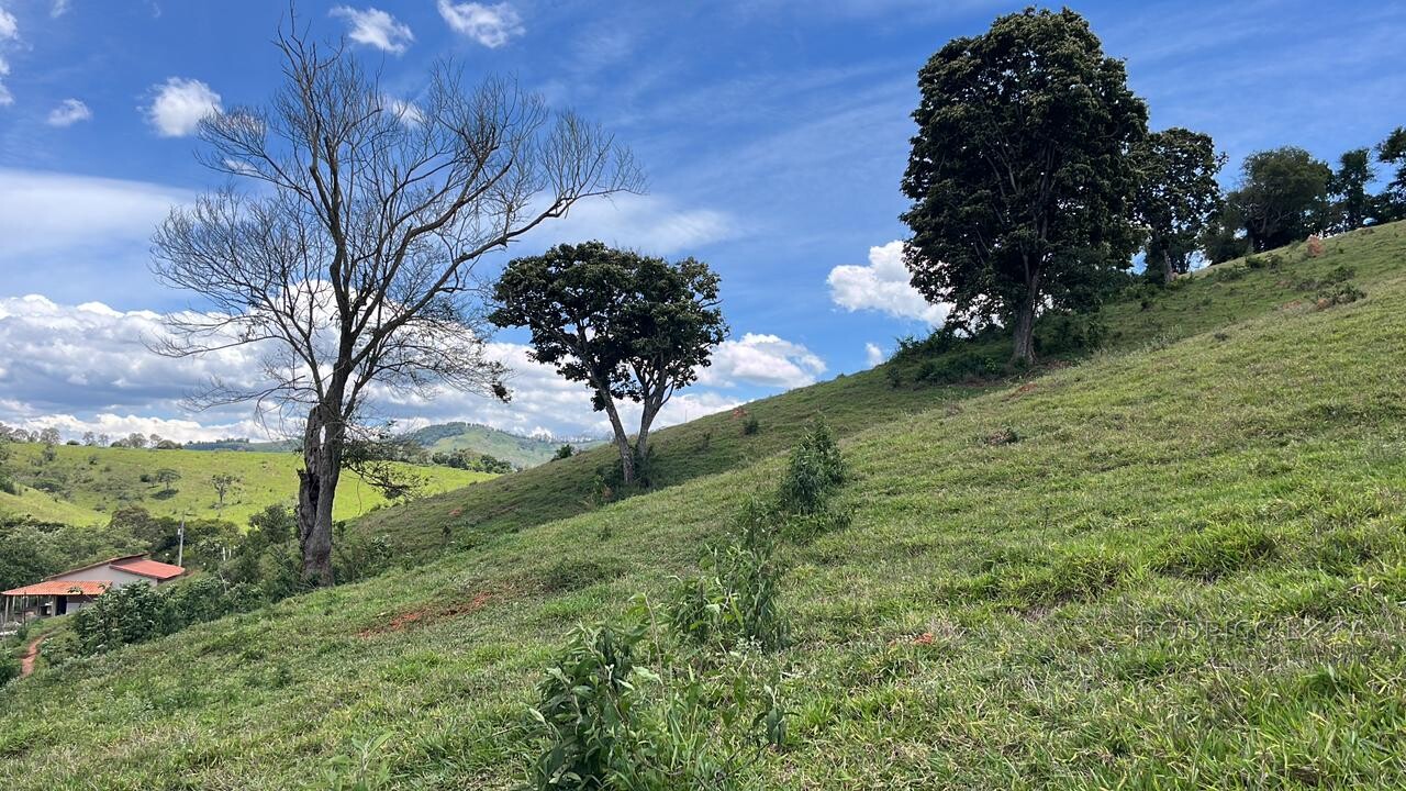 Sitio para venda em Carmo de Minas Mg