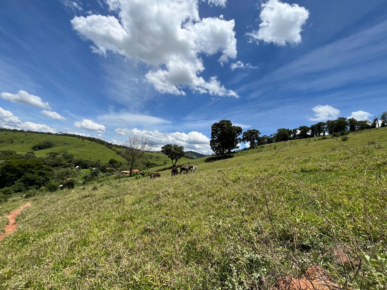 Sitio para venda em Carmo de Minas Mg