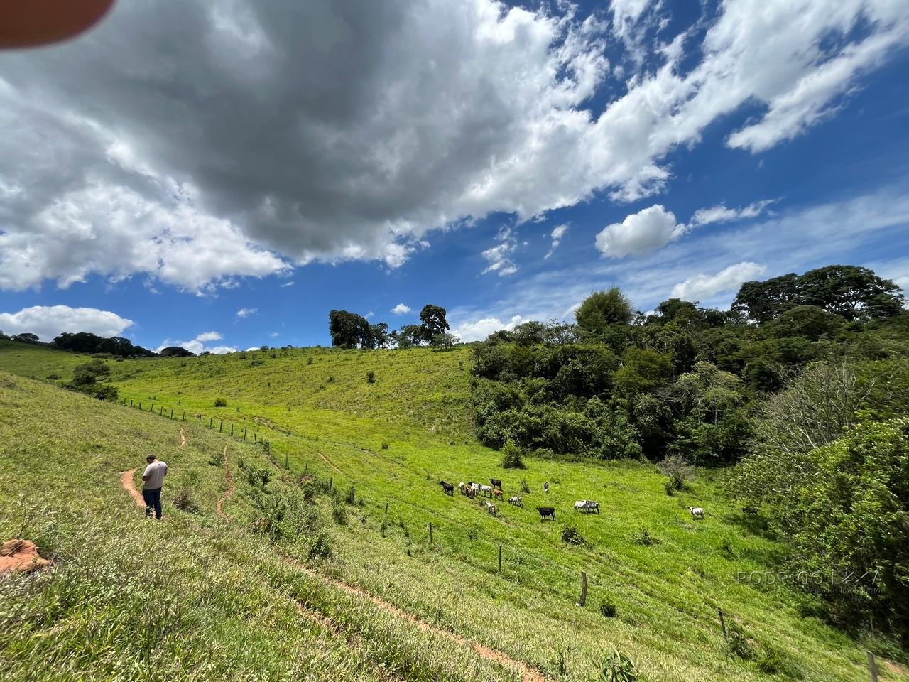 Sitio para venda em Carmo de Minas Mg