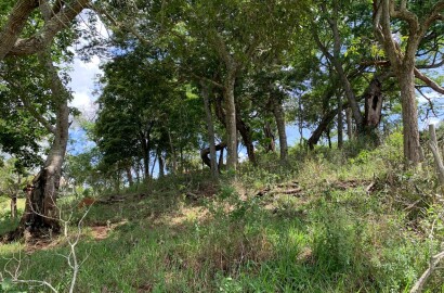 Excelente área rural para venda entre São Lourenço e Soledade MG