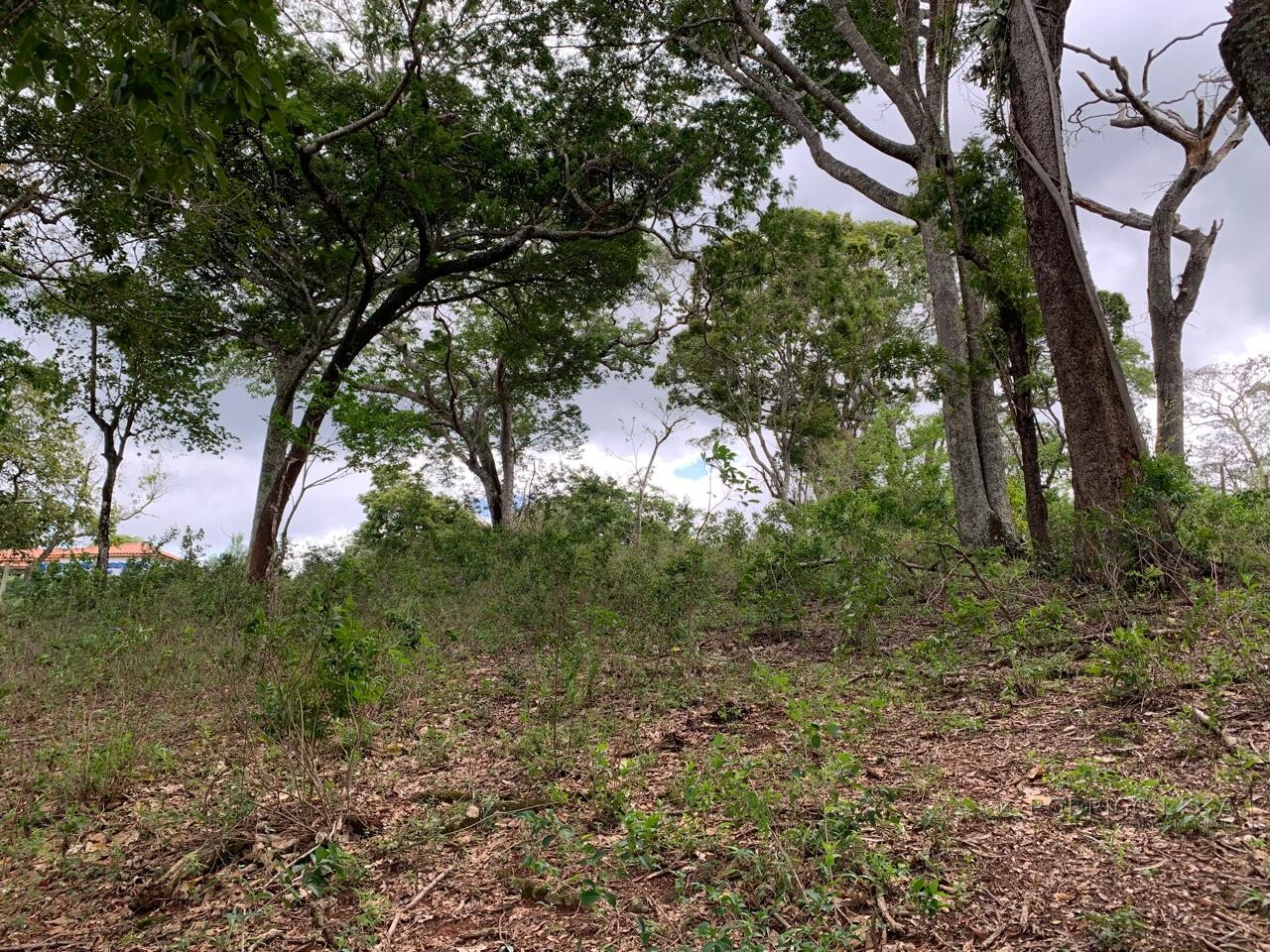 Excelente área rural para venda entre São Lourenço e Soledade MG