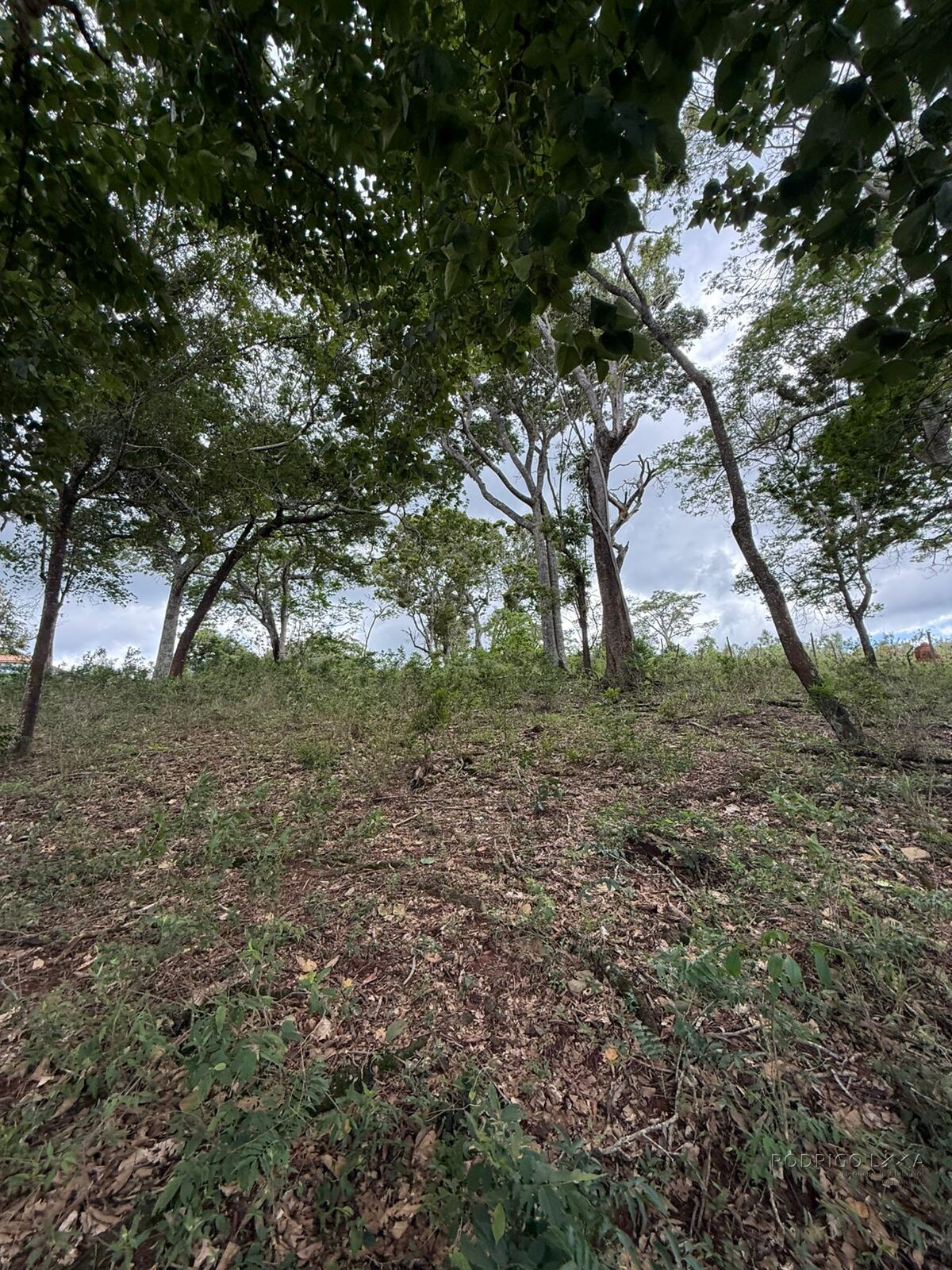 Excelente área rural para venda entre São Lourenço e Soledade MG