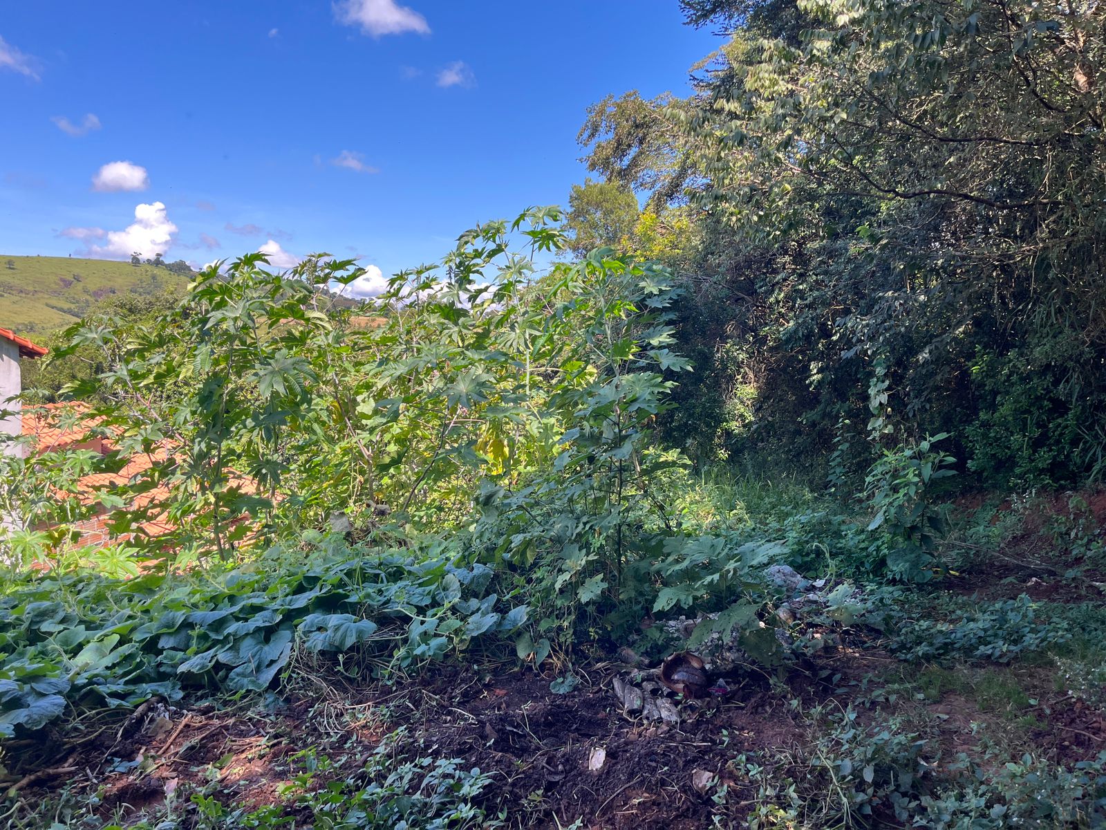 Ótimo lote para venda em São Lourenço MG