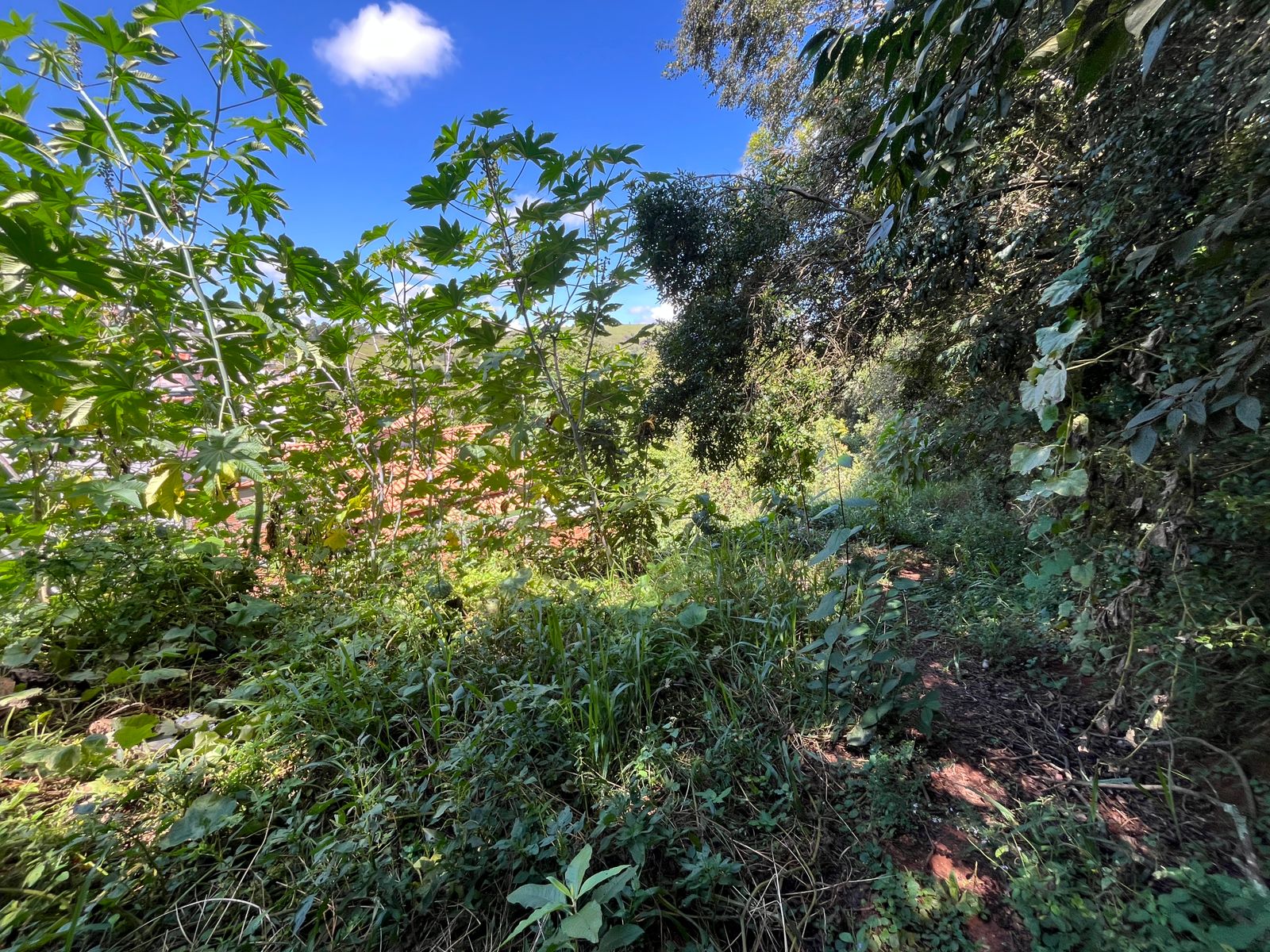 Ótimo lote para venda em São Lourenço MG