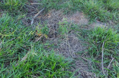 Lote para venda em São Lourenço