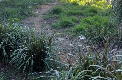 Lote para venda em São Lourenço