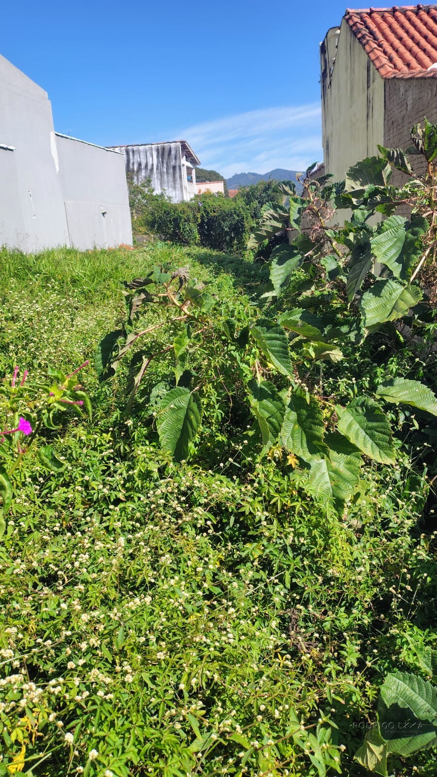 Lote para venda em Carmo de Minas MG