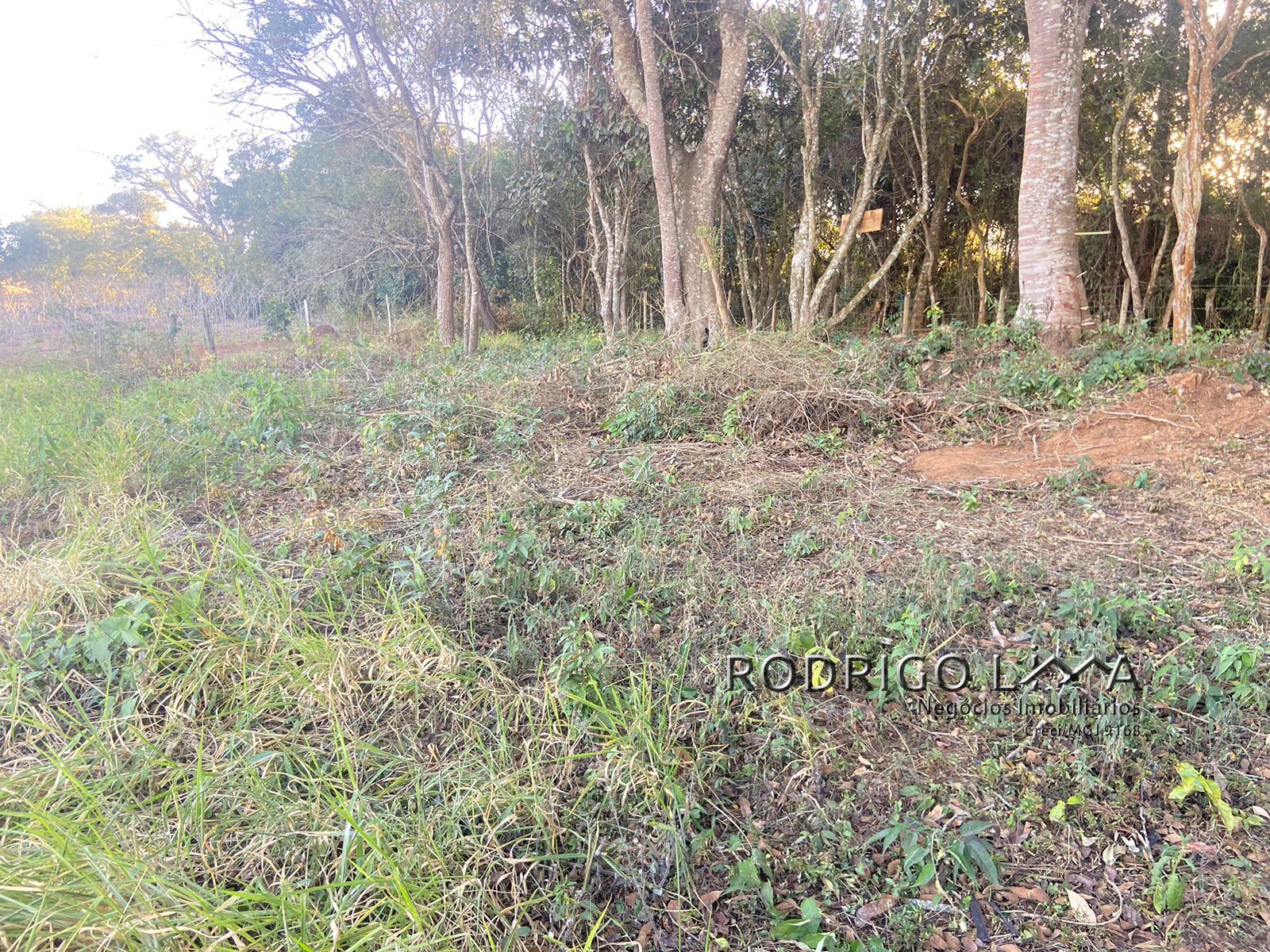Chácara para venda há menos de 10 minutos de São Lourenço.