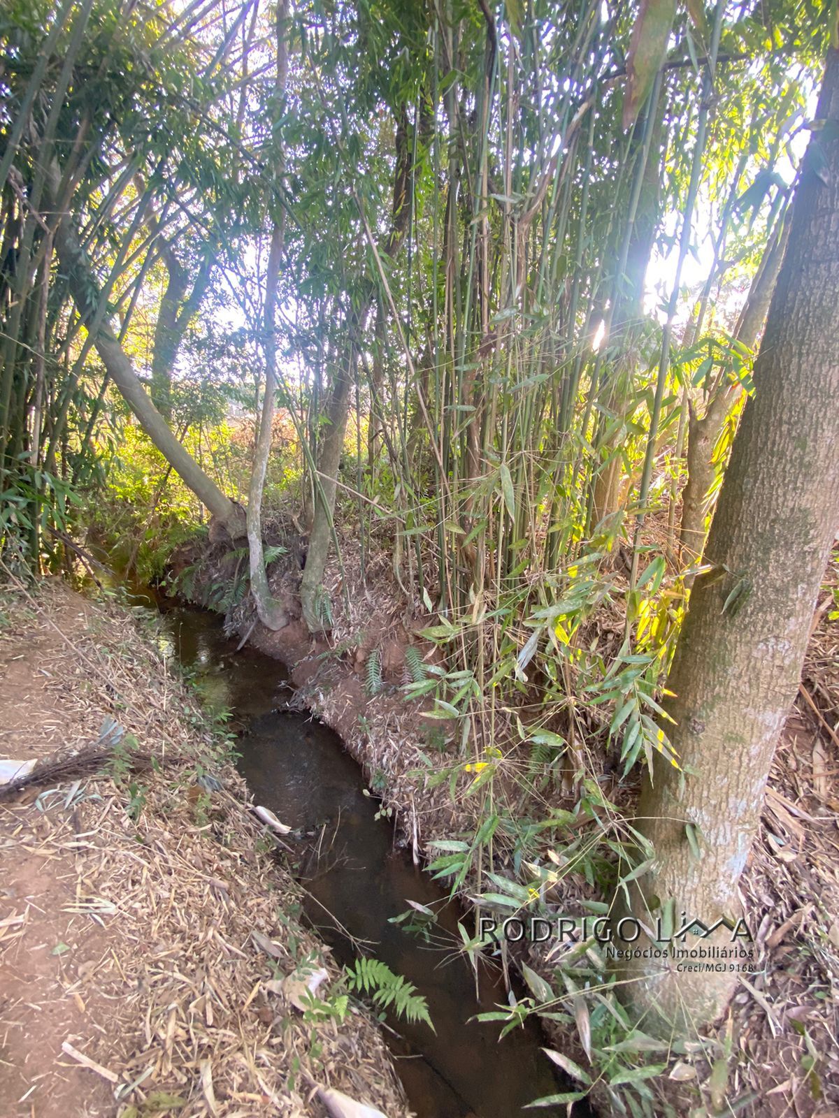Chácara para venda há menos de 10 minutos de São Lourenço.