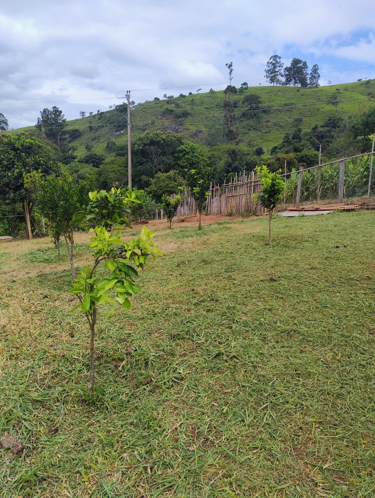 Chácara para venda em Soledade MG