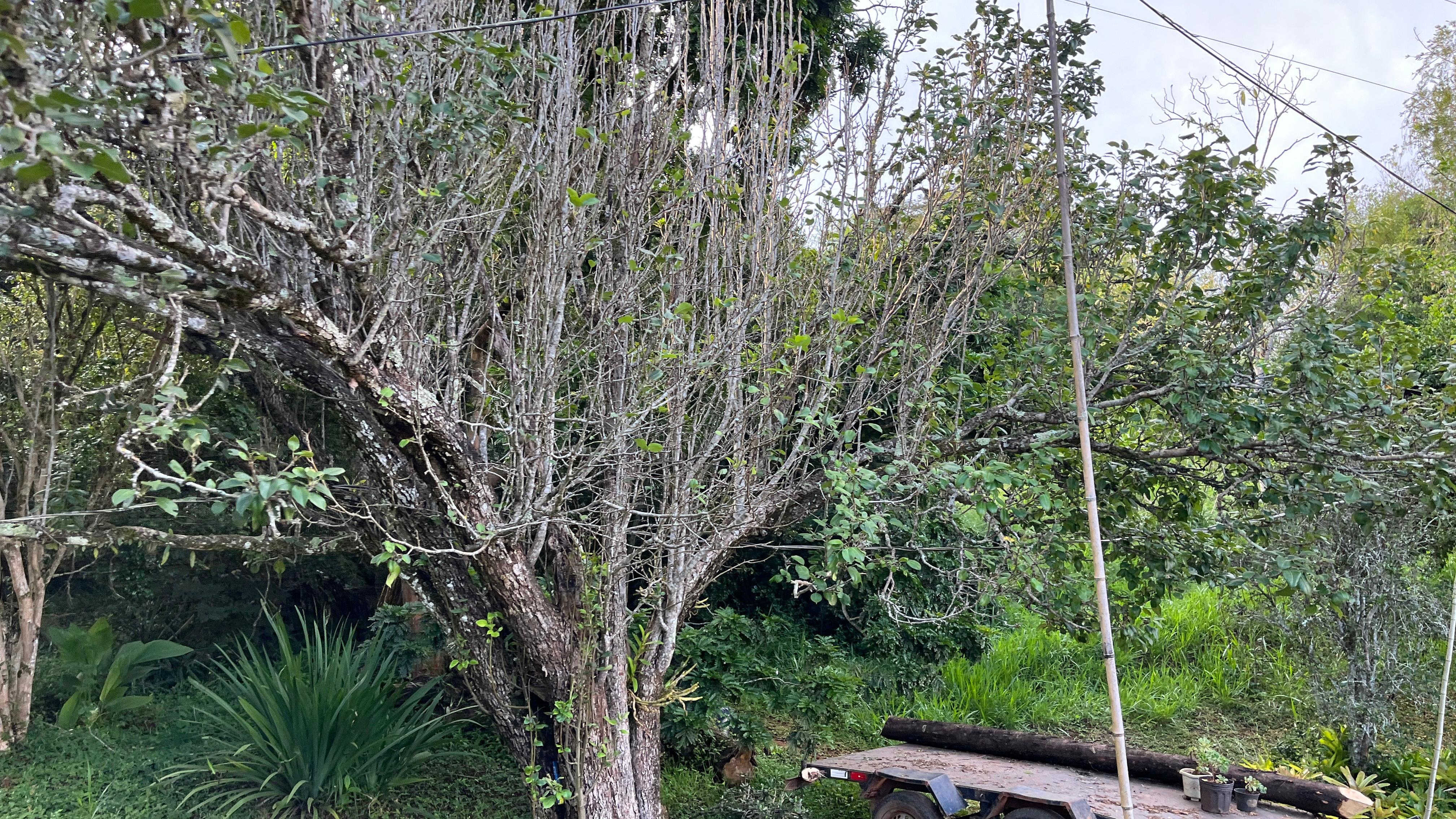 Linda Chácara Spa para venda em Caxambu MG