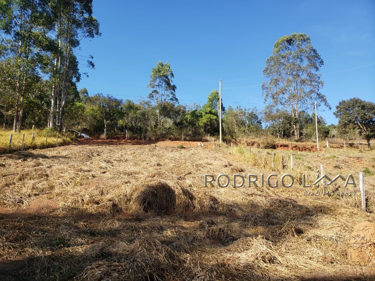 Chácara para chácara a venda em Dom Viçoso - MG.