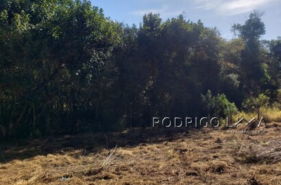 Chácara para chácara a venda em Dom Viçoso - MG.