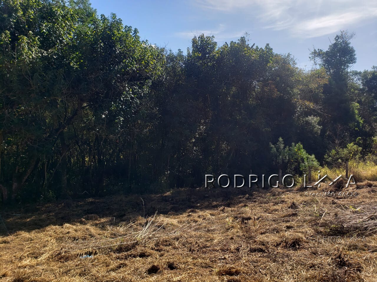 Chácara para chácara a venda em Dom Viçoso - MG.