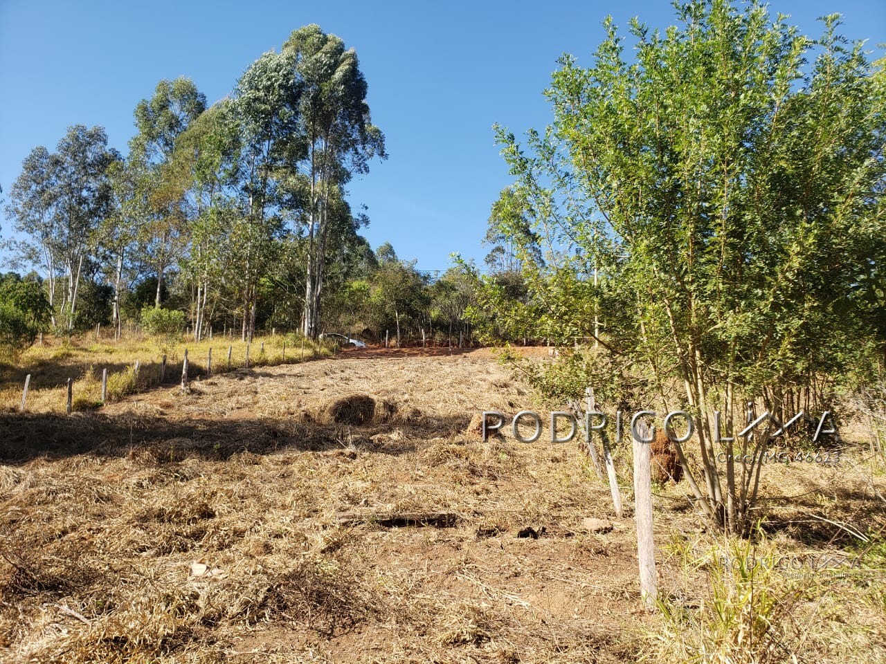 Chácara para chácara a venda em Dom Viçoso - MG.