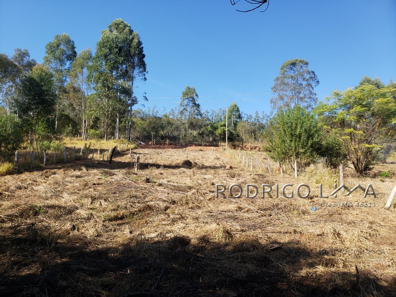 Chácara para chácara a venda em Dom Viçoso - MG.