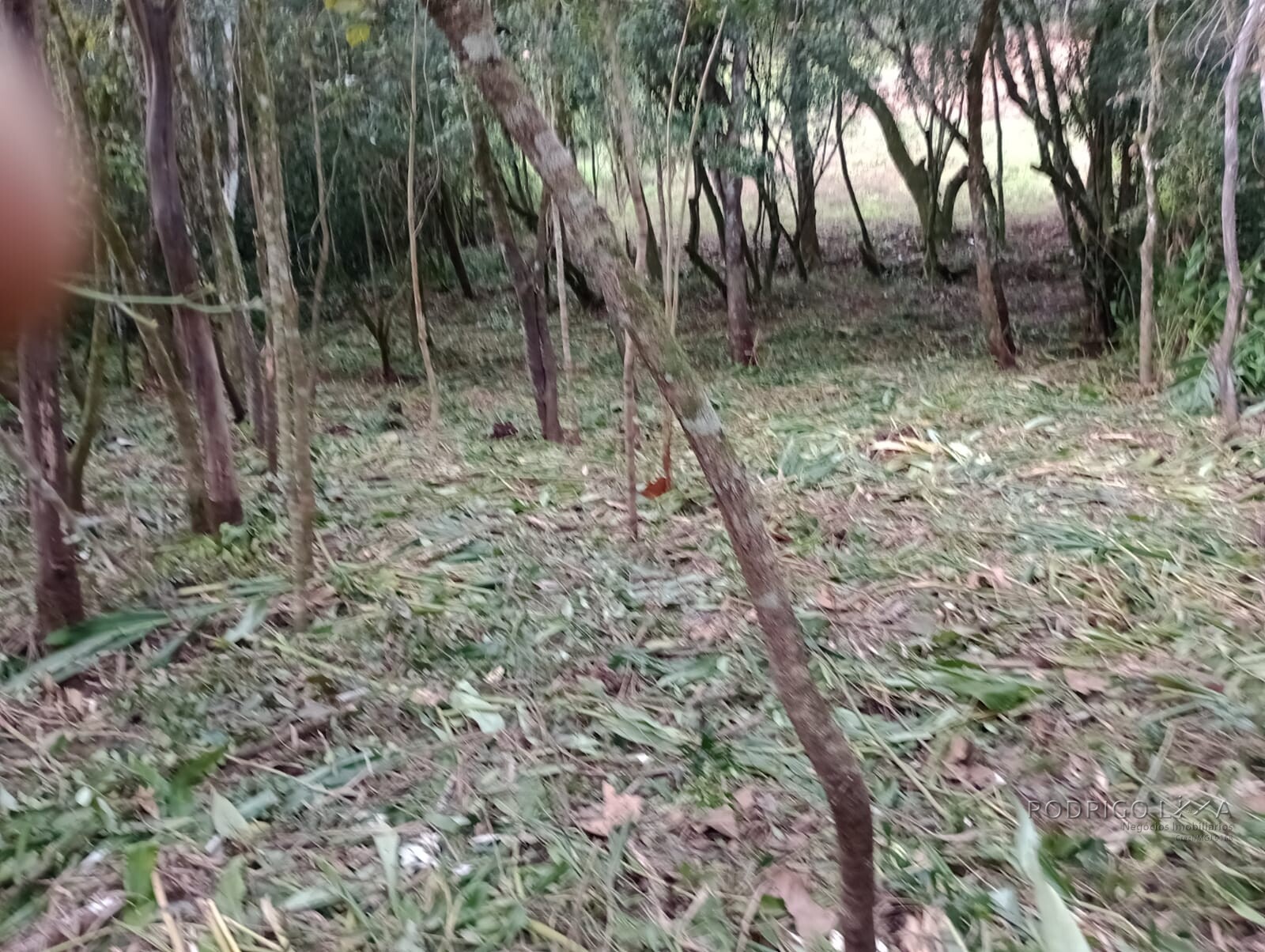 Chácara para chácara a venda em Dom Viçoso - MG.