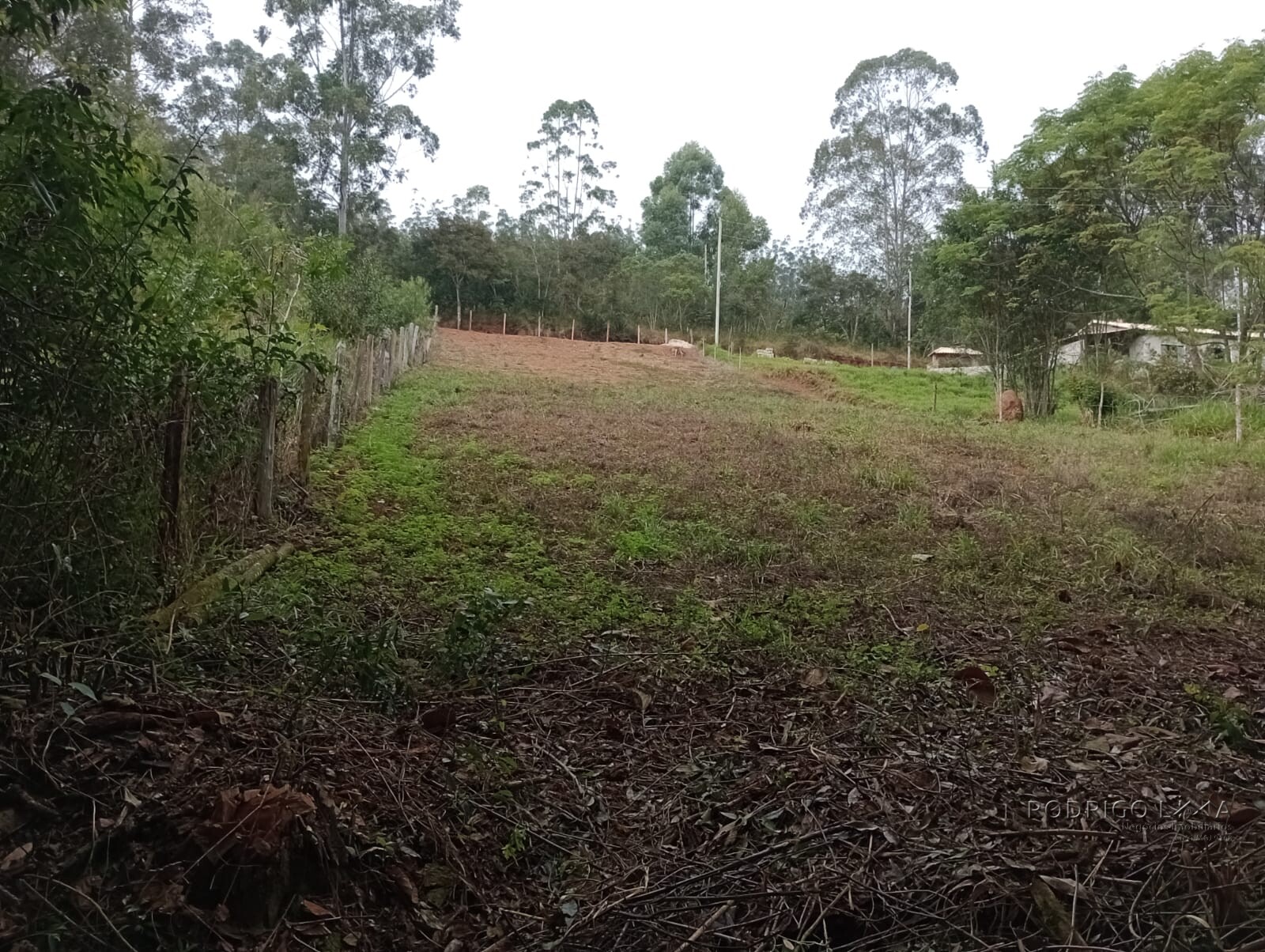 Chácara para chácara a venda em Dom Viçoso - MG.