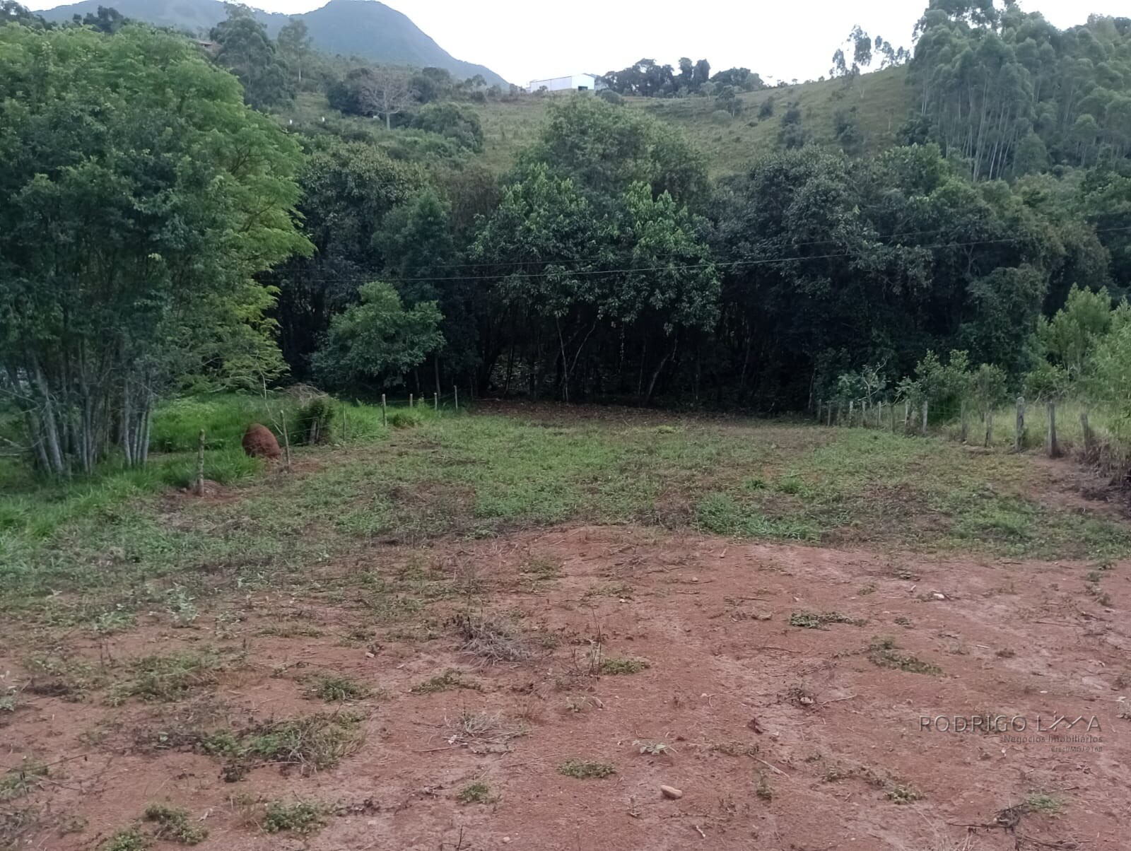 Chácara para chácara a venda em Dom Viçoso - MG.