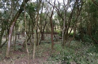 Chácara para chácara a venda em Dom Viçoso - MG.