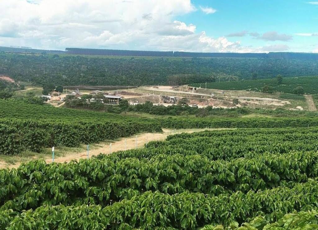 Fazenda para venda em Capelinha MG