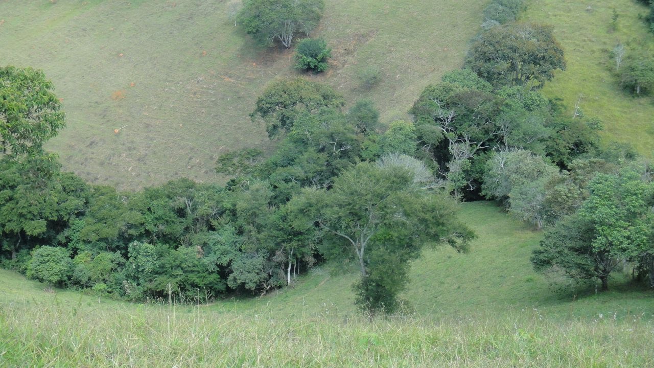 Área rural para venda há 15 minutos de São Lourenço - MG.