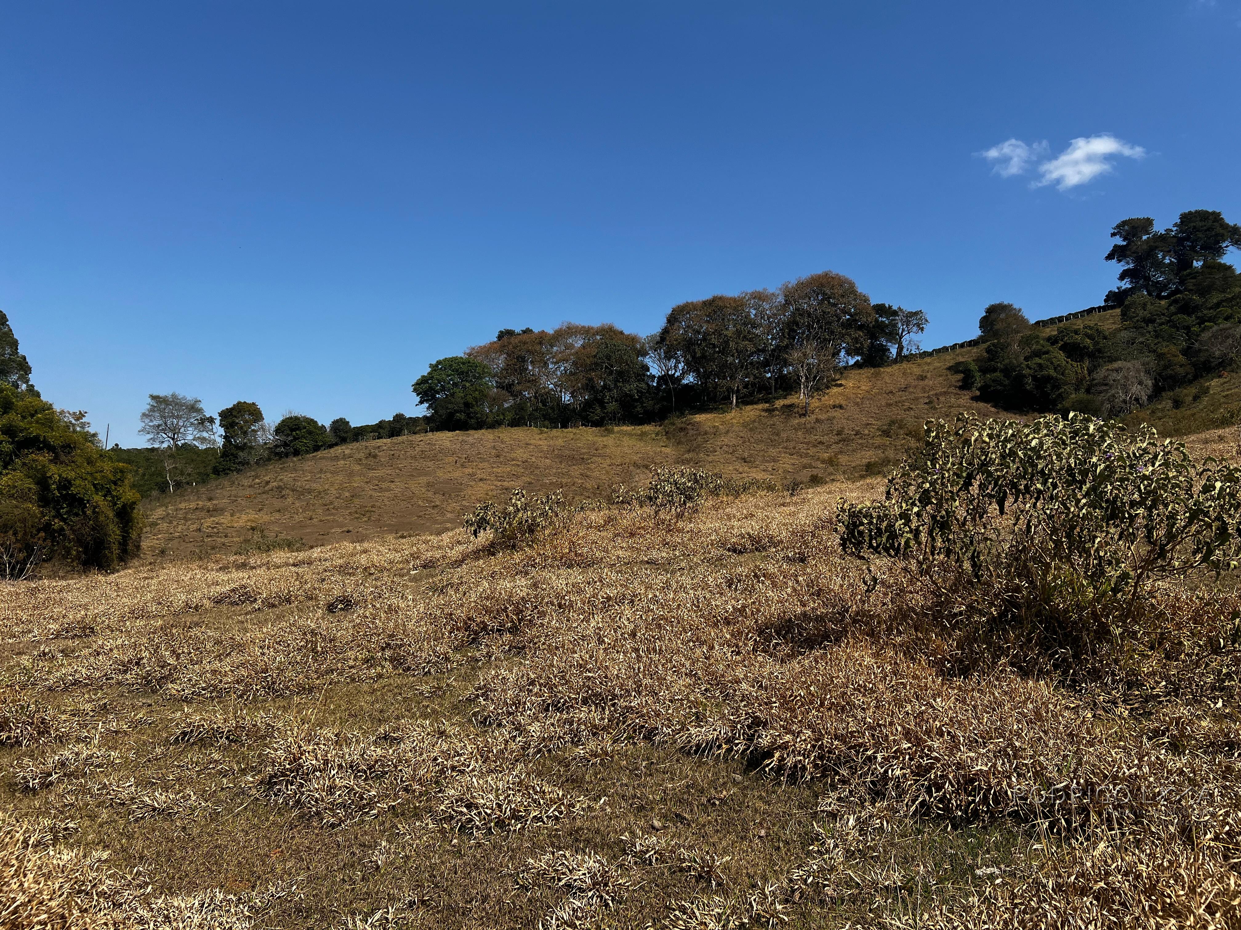 Área rural a venda em Carmo de Minas com aptidão para urbanização.