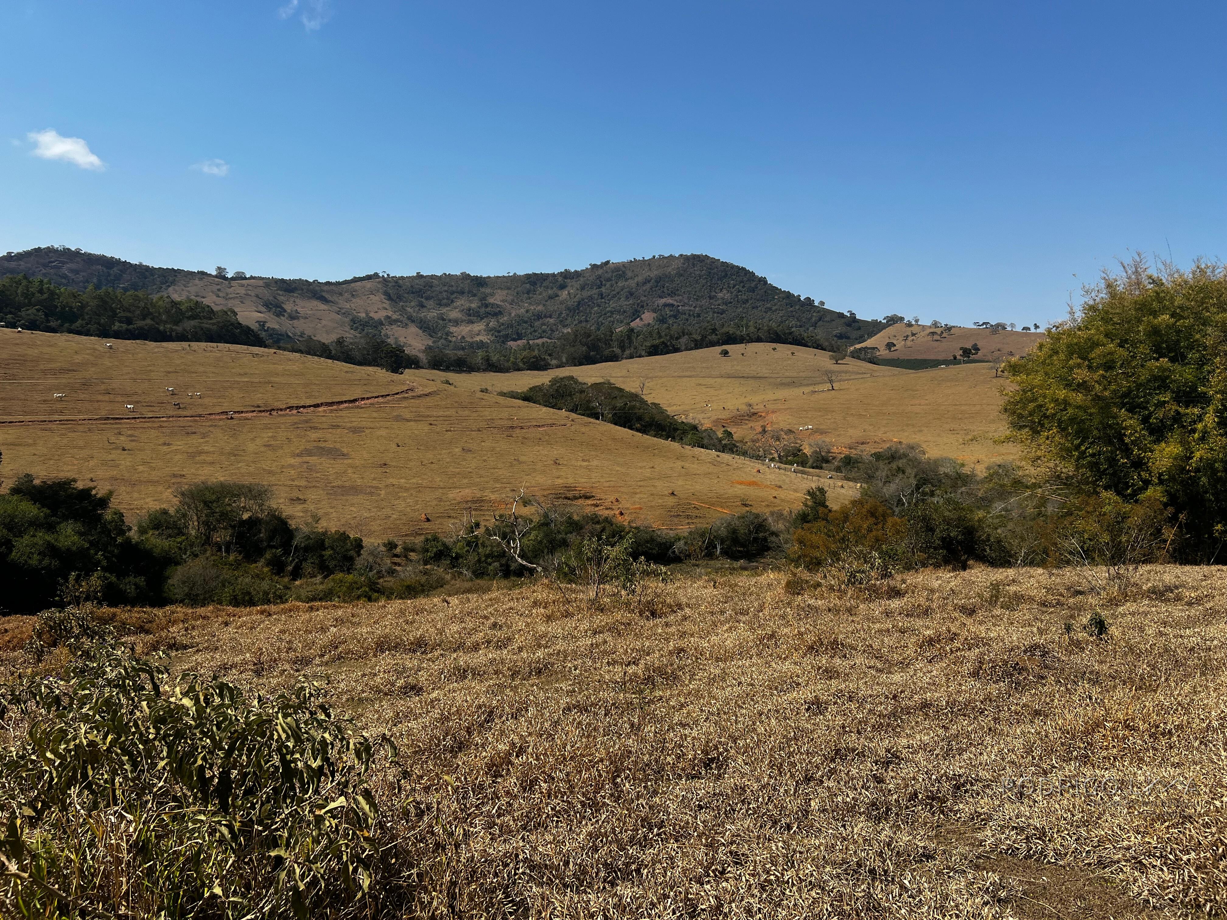 Área rural a venda em Carmo de Minas com aptidão para urbanização.