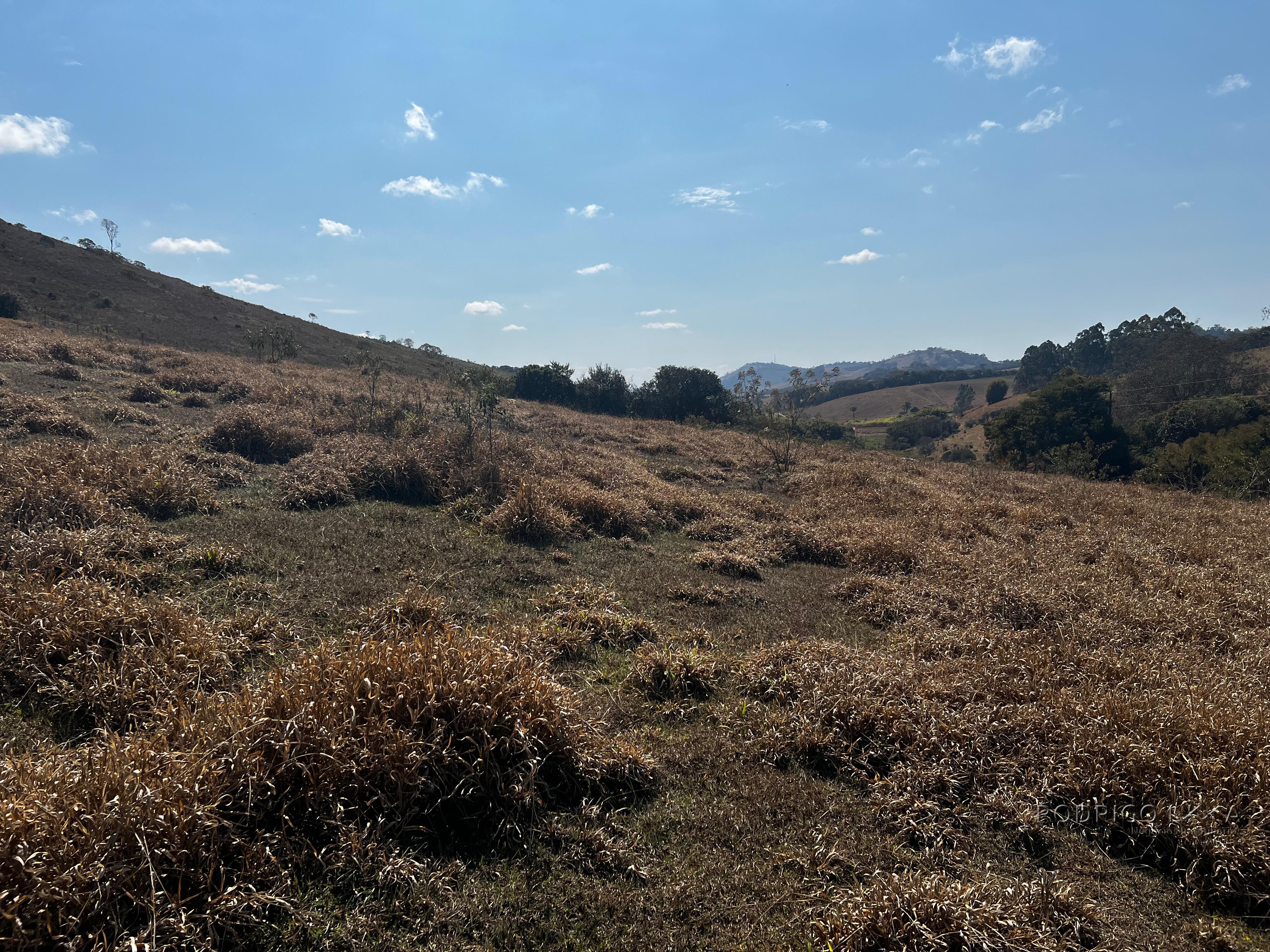 Área rural a venda em Carmo de Minas com aptidão para urbanização.