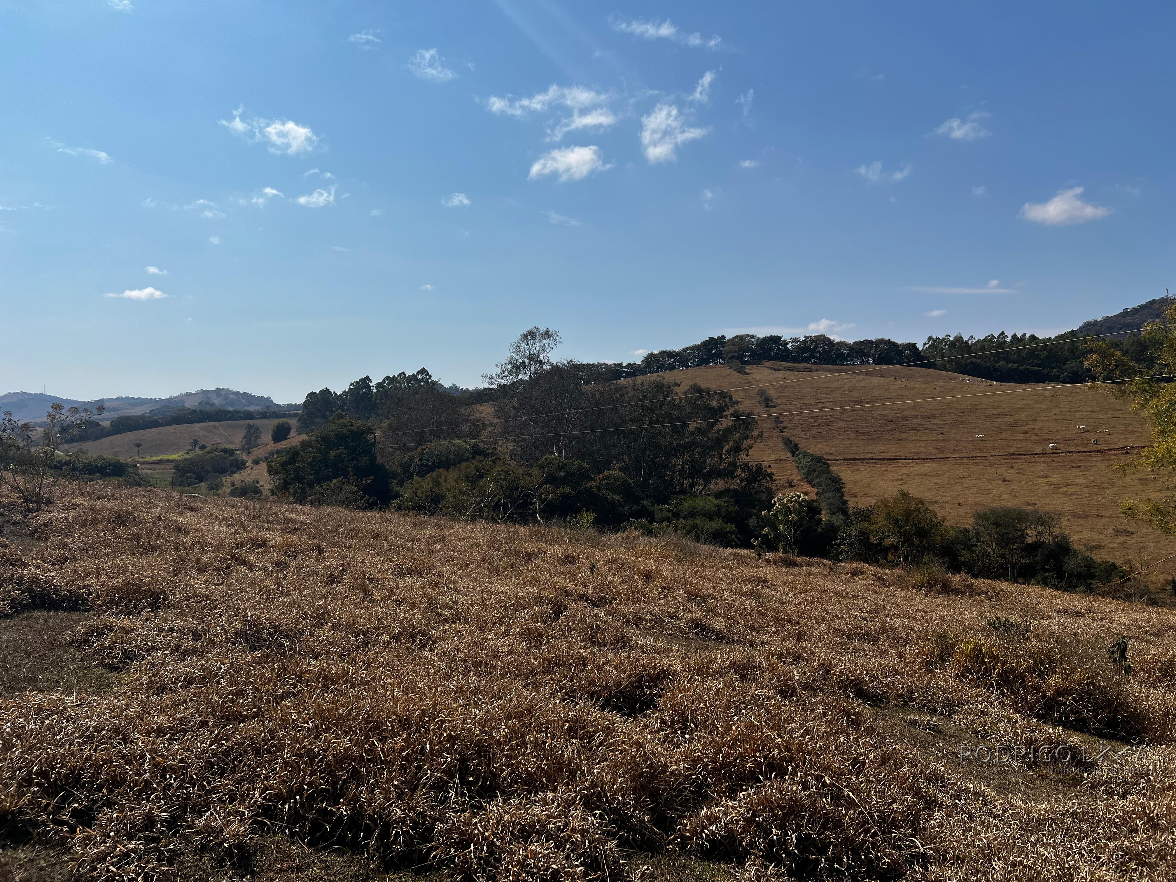 Área rural a venda em Carmo de Minas com aptidão para urbanização.