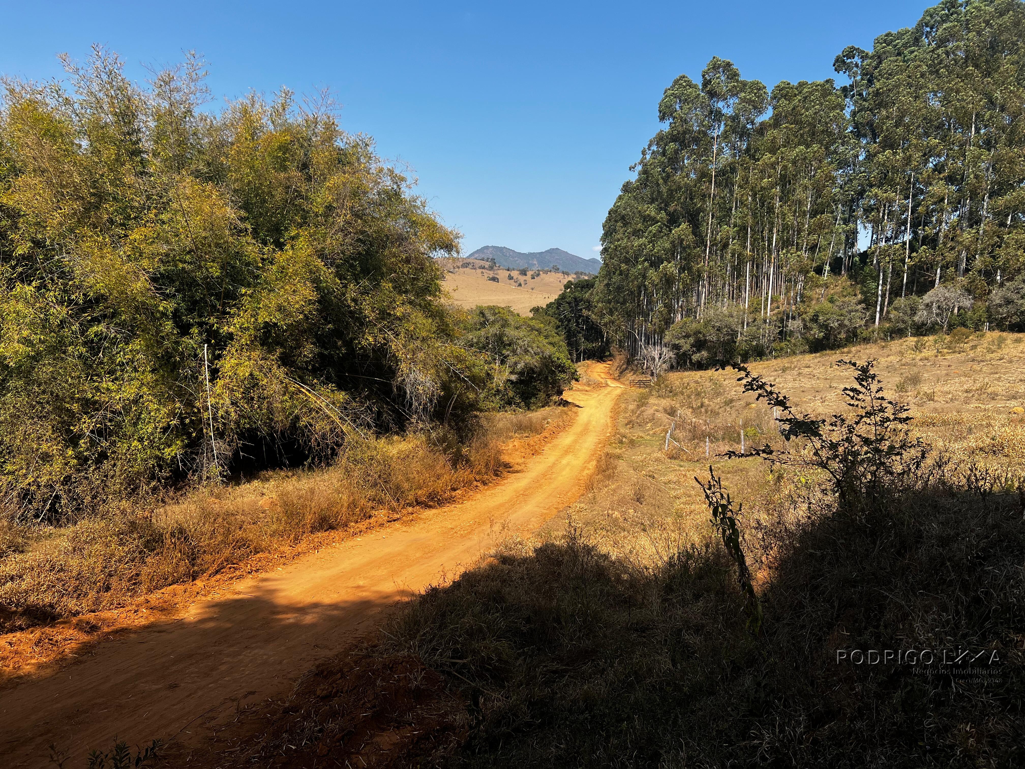 Área rural a venda em Carmo de Minas com aptidão para urbanização.