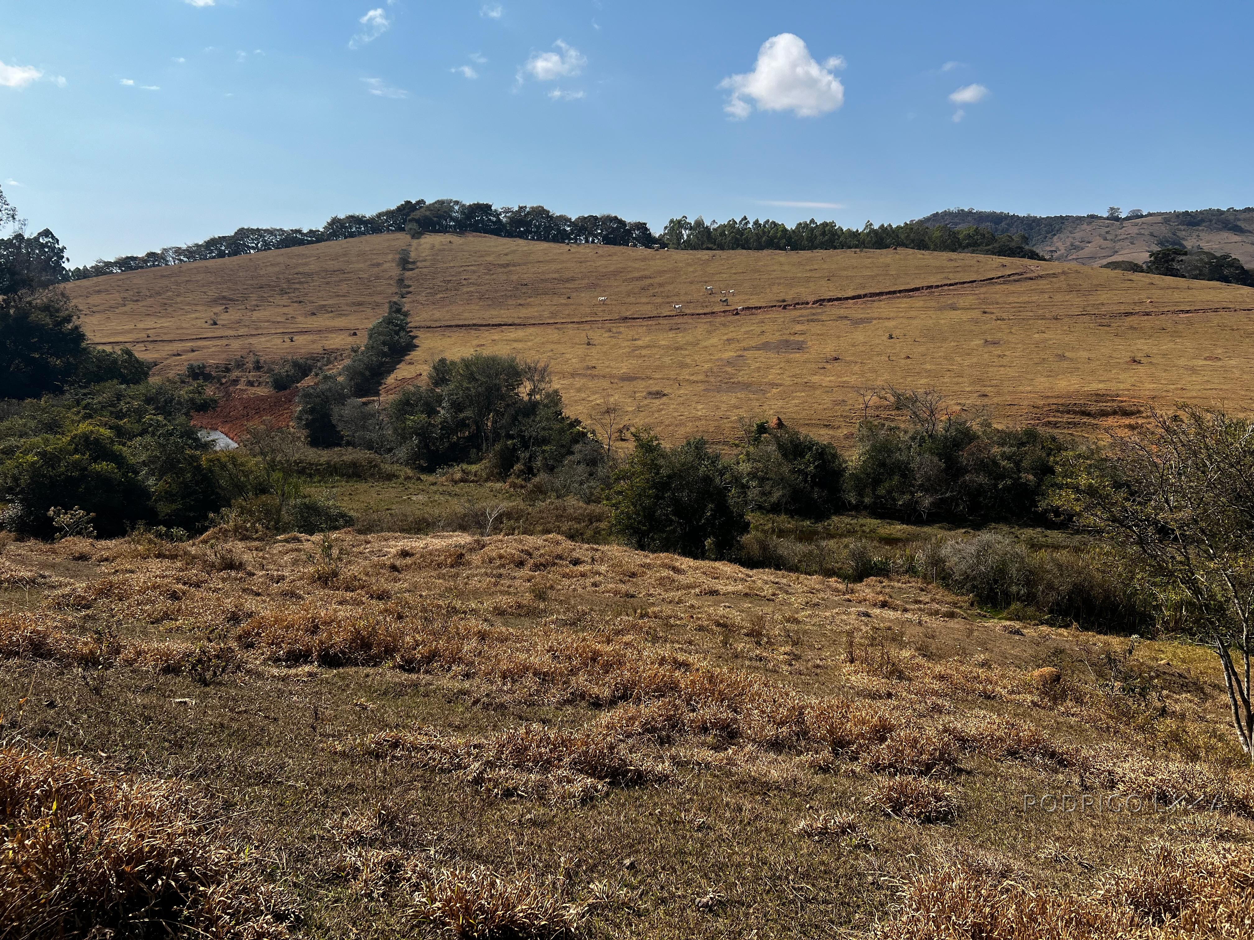 Área rural a venda em Carmo de Minas com aptidão para urbanização.