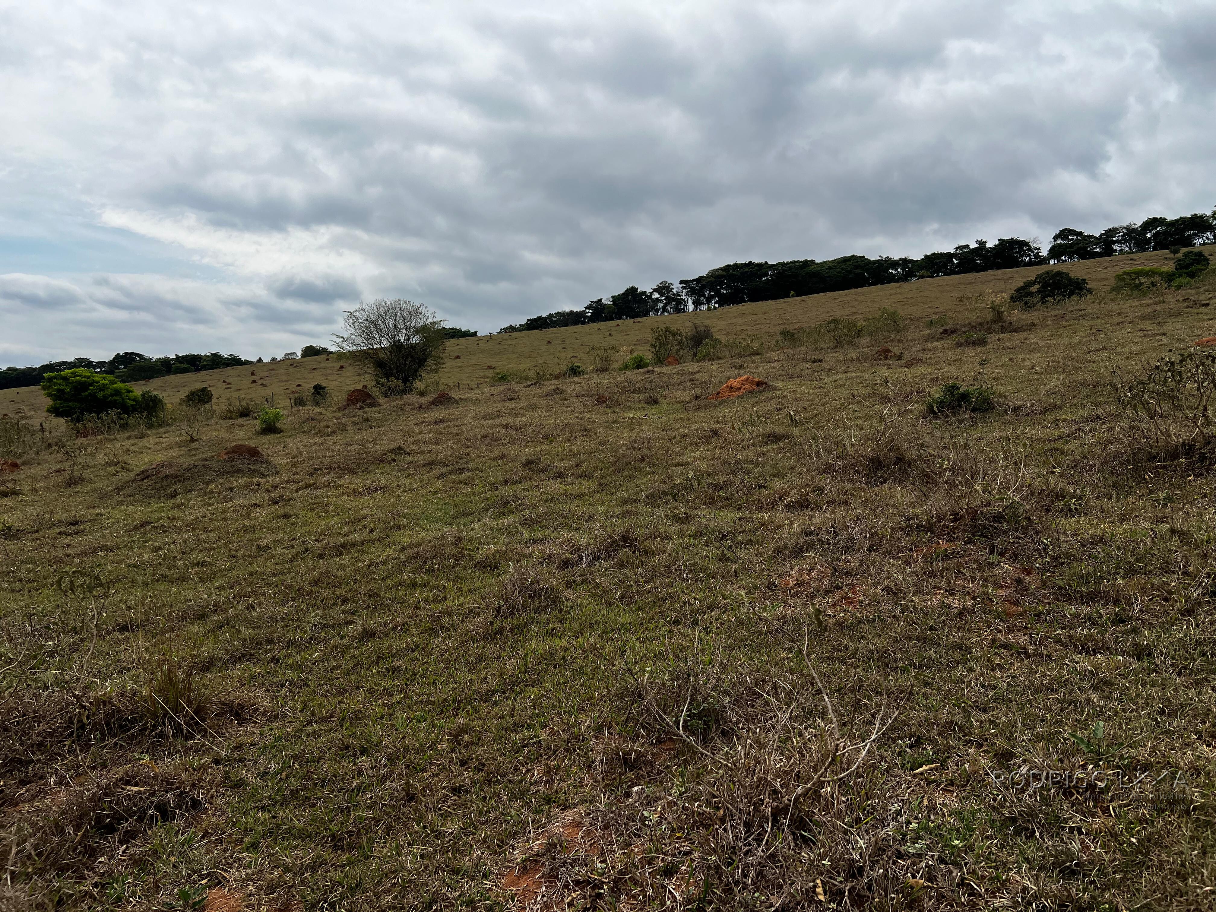 Área rural para venda próximo a São Lourenço MG.