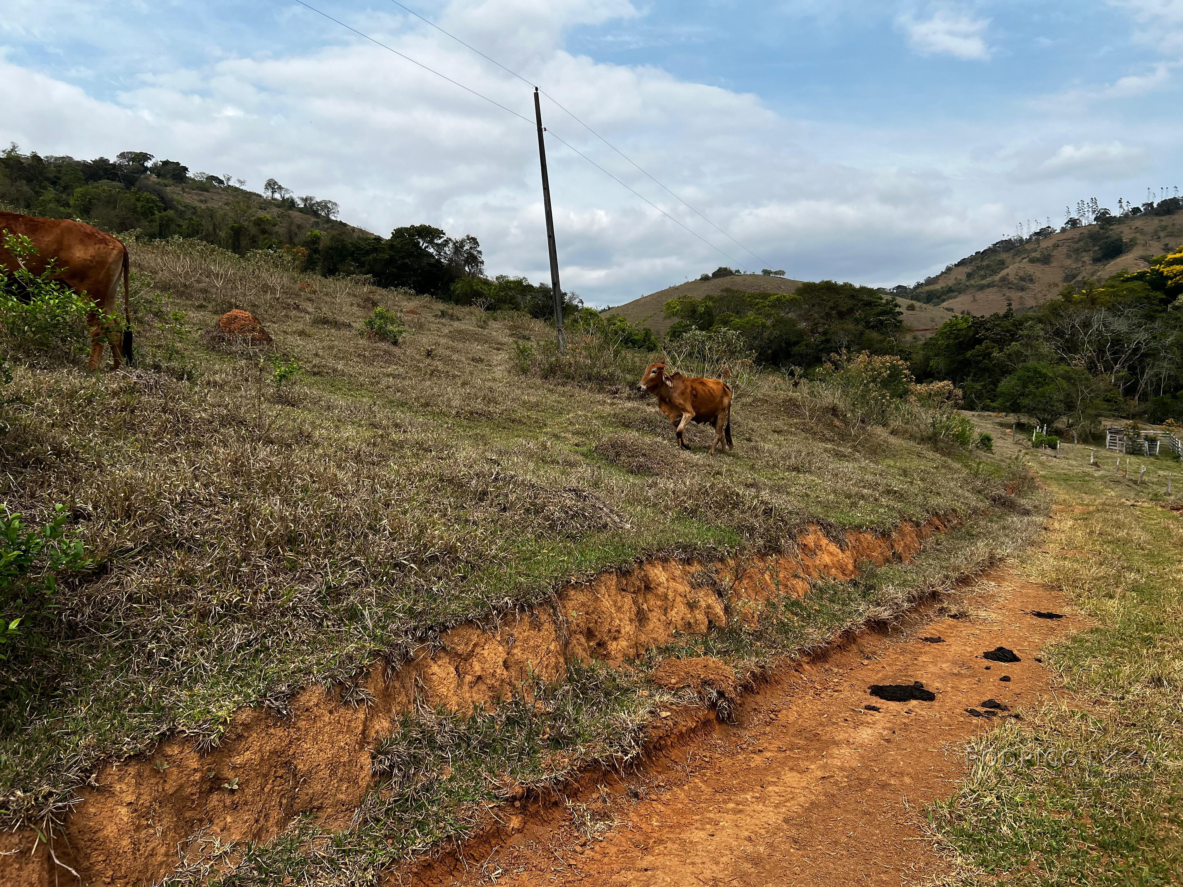 Área rural para venda próximo a São Lourenço MG.