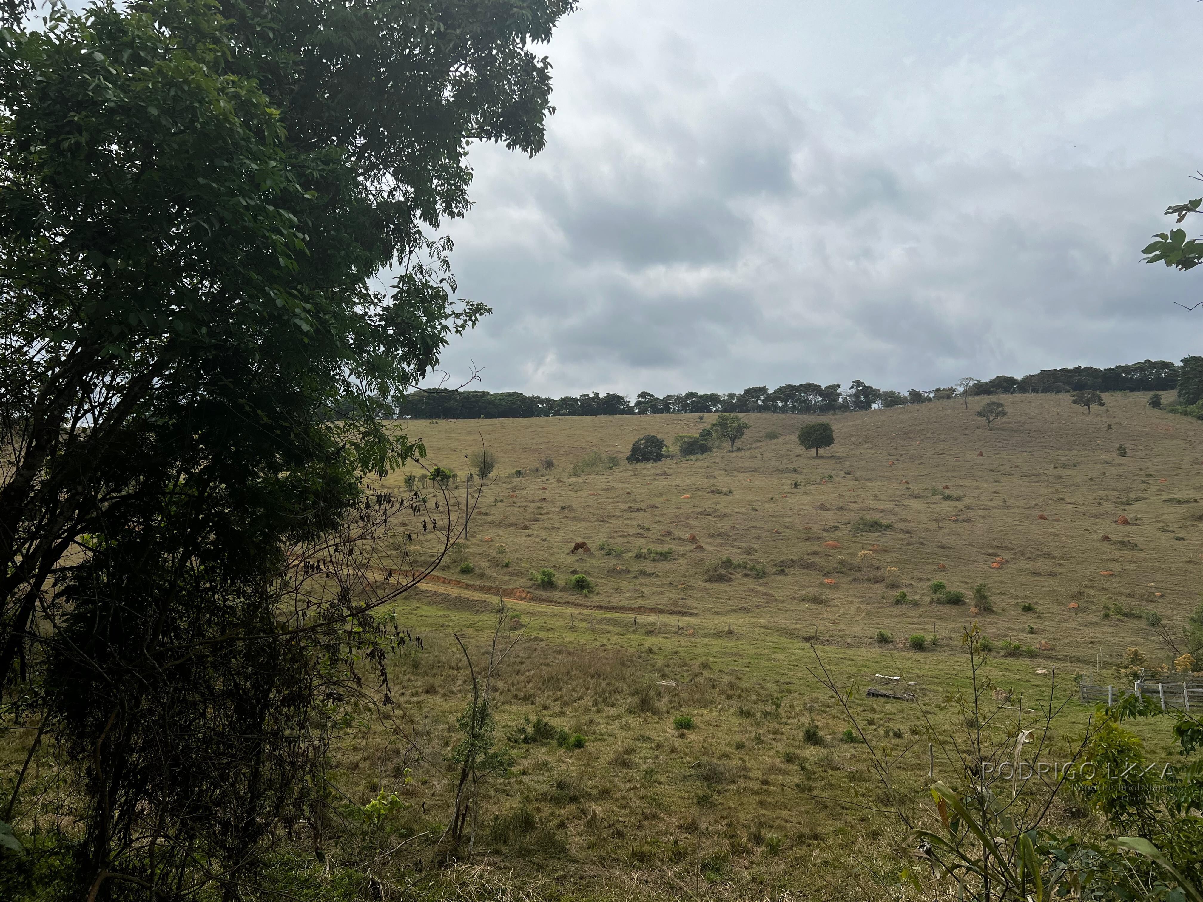 Área rural para venda próximo a São Lourenço MG.