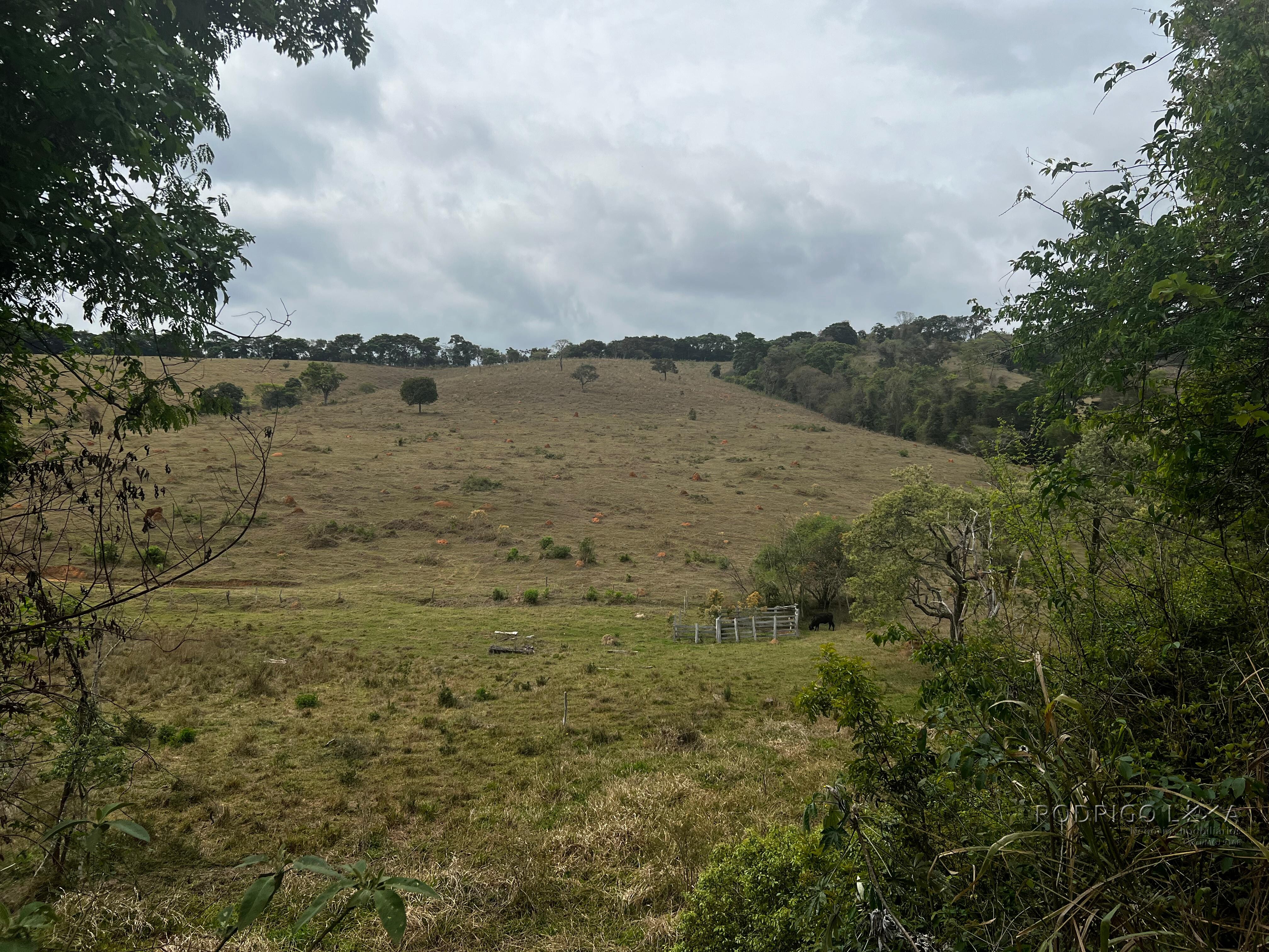Área rural para venda próximo a São Lourenço MG.