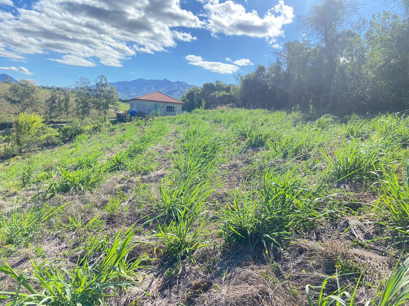 Linda chácara para venda próximo a São Lourenço - MG.