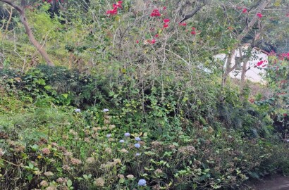 Linda chácara para venda em Carmo de Minas MG